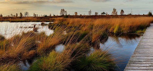Why do we need Louisiana’s wetlands? (Wetland hydrologic functions)