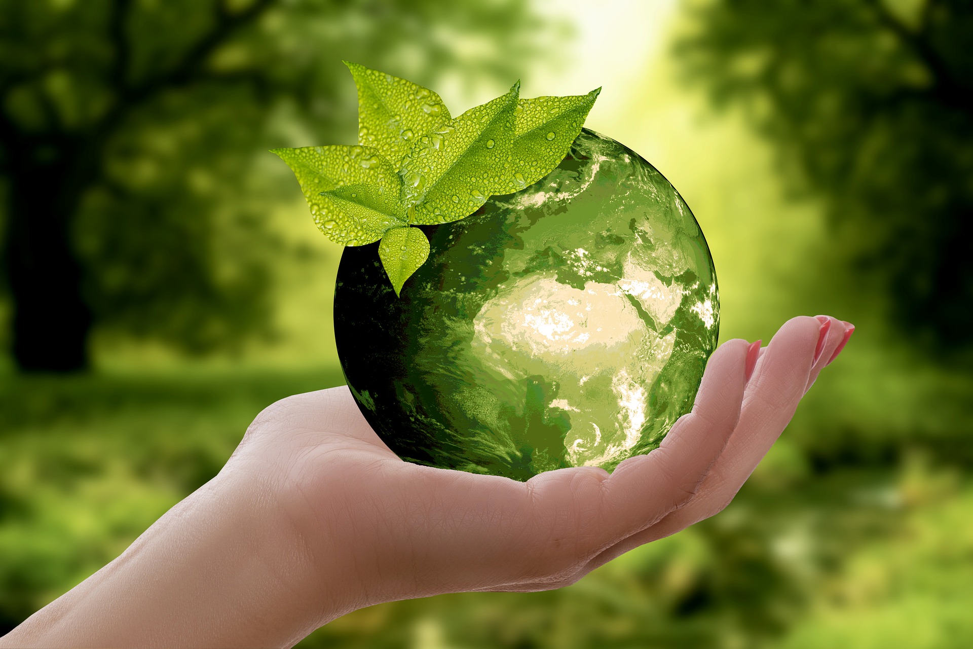 Sustainability in Commercial Real Estate