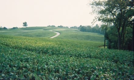 An Eminent Domain Case Affecting a Trophy Property, Part 1