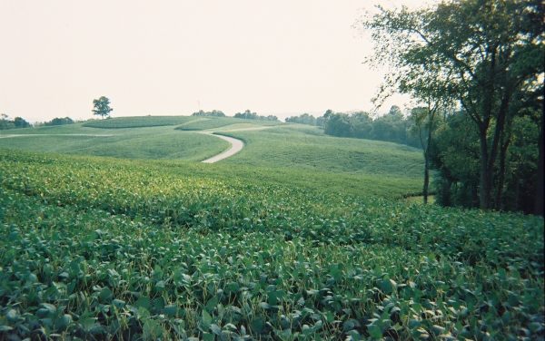 An Eminent Domain Case Affecting a Trophy Property, Part 1