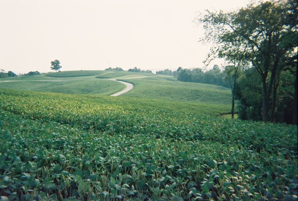 An Eminent Domain Case Affecting a Trophy Property, Part 1