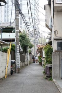 Electrical Wires in Japanese Neighborhood