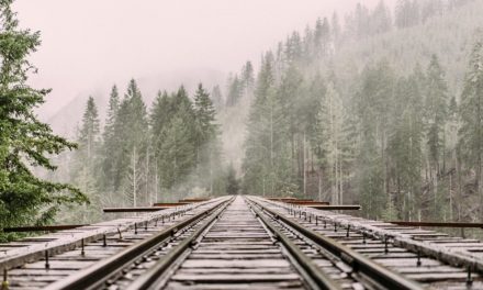 BNSF Railway’s Massive Cleanup of Released Oil in Skykomish, Washington