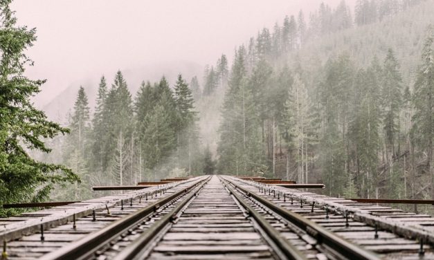 BNSF Railway’s Massive Cleanup of Released Oil in Skykomish, Washington