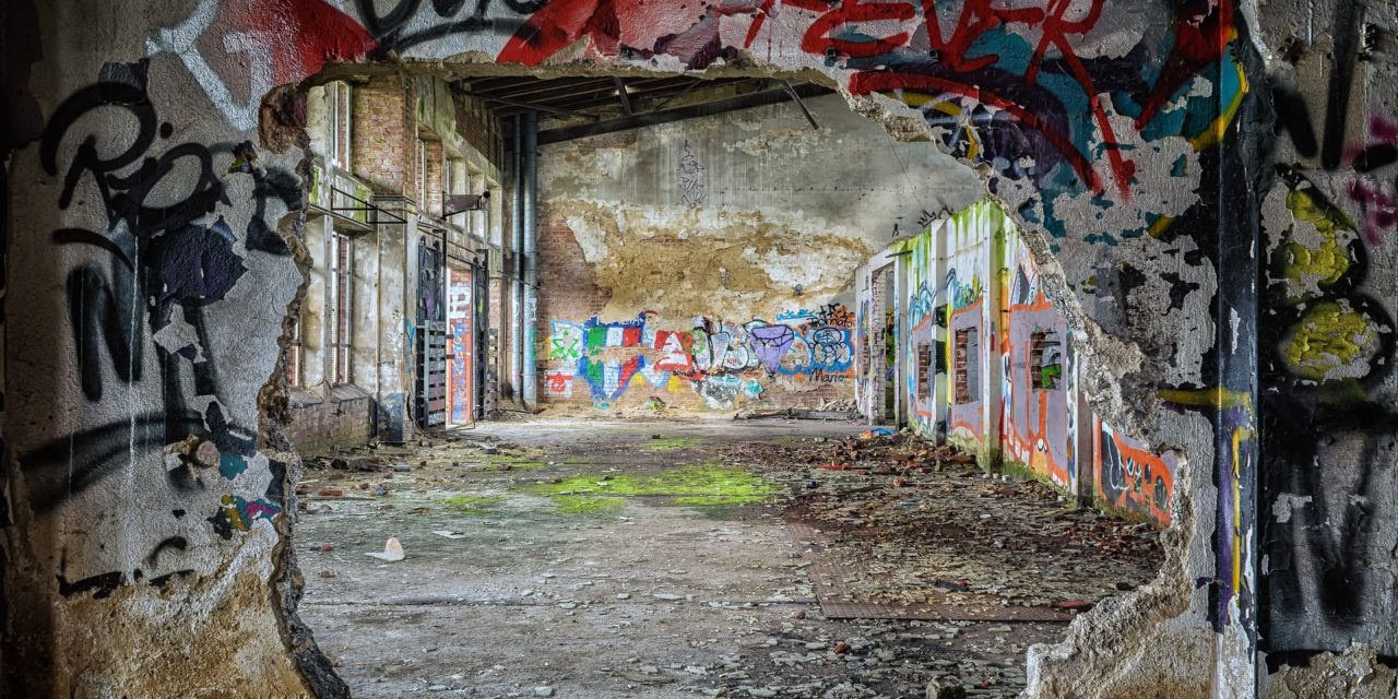 The Challenges of Neighborhood Redevelopment