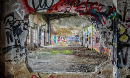 The Challenges of Neighborhood Redevelopment