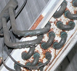Corroded Refrigerator Coils from Chinese Drywall