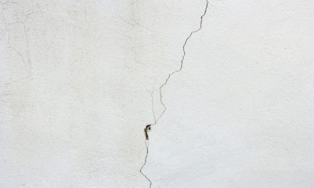 New Developments in the Defective Drywall Situation
