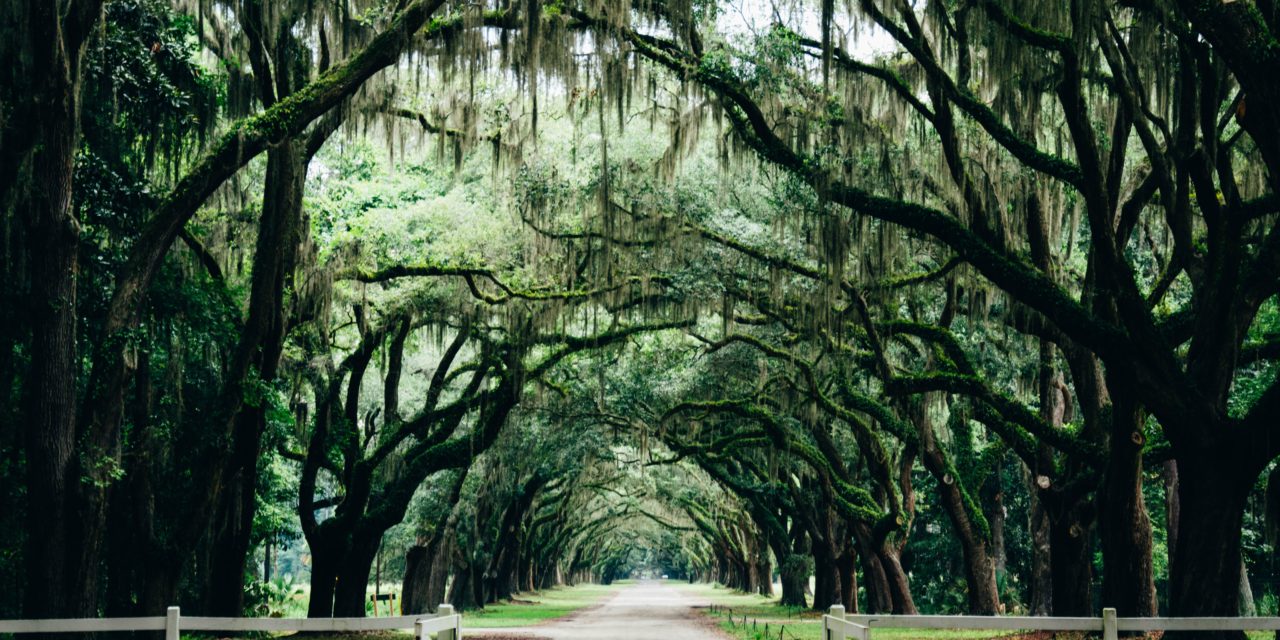 Georgia Association of Assessing Officials Conference Highlights