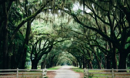 Georgia Association of Assessing Officials Conference Highlights