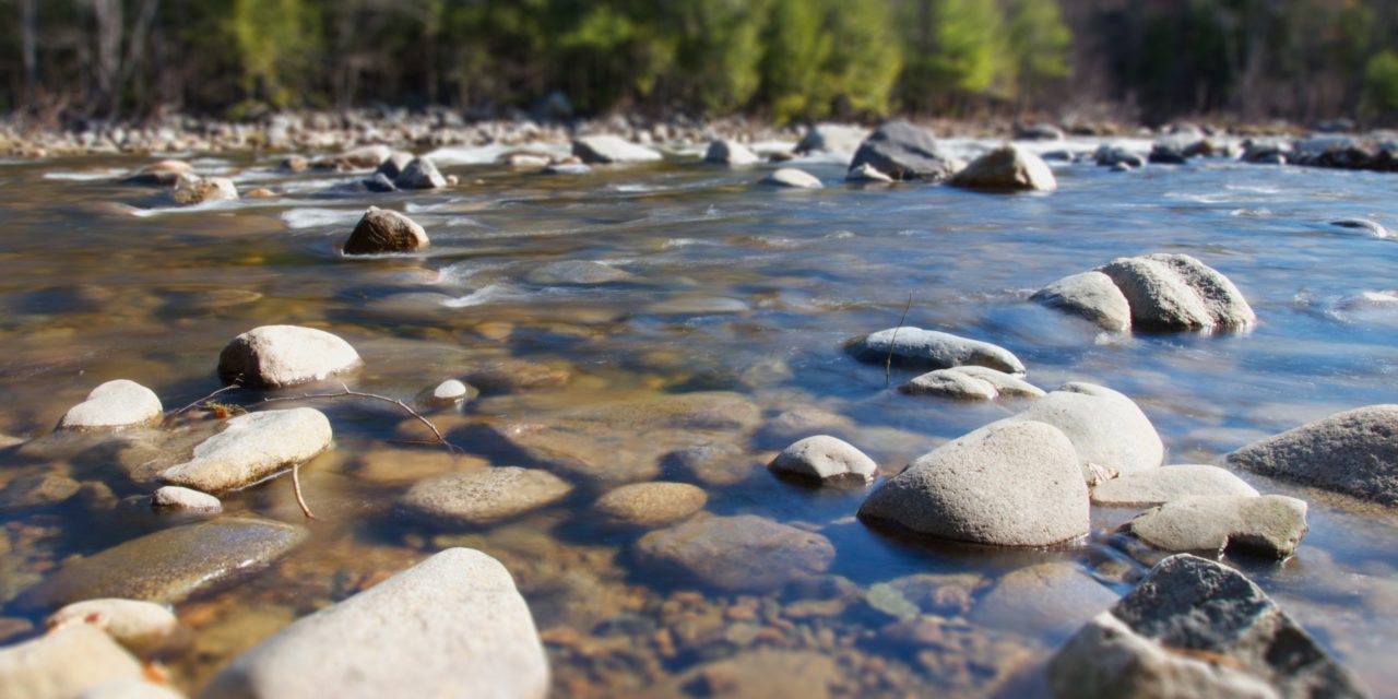 Fallout from the Mine Wastewater Spill into the Animas River