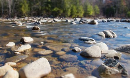 Fallout from the Mine Wastewater Spill into the Animas River
