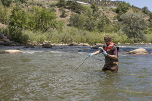 Monitoring the Animas River after the Gold King Mine spill