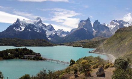 Valuing the End of the World – Lenga Patagonia