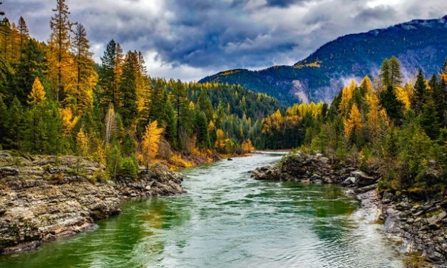 A Year Later: Looking Back at the Animas River Contamination