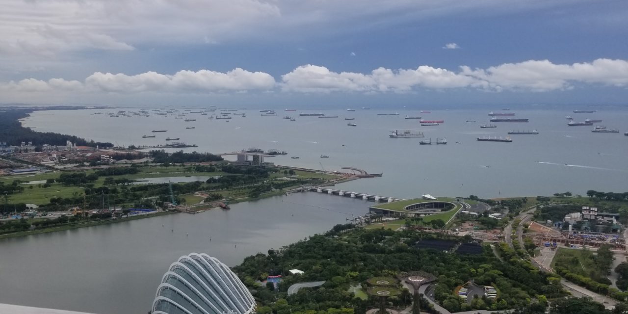 Final Post in a Series of Four Highlighting My Trip to Singapore to Attend the IVSC-WAVO Global Valuation Conference