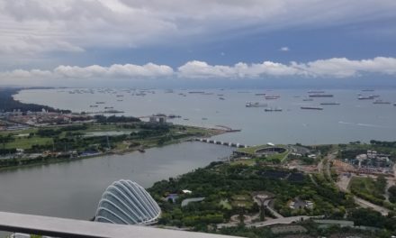 Final Post in a Series of Four Highlighting My Trip to Singapore to Attend the IVSC-WAVO Global Valuation Conference