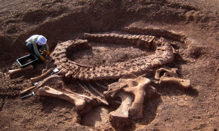 How Do We Appraise a Property with Dinosaur Bones and Other Fossils?