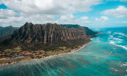 Dr. Kilpatrick’s Expert Opinion Joins Forces in a Positive Outcome for Kauai