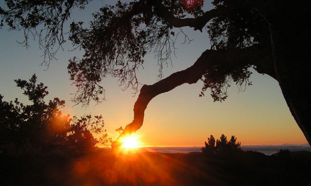 A Look Inside Ranch Preservation Communities